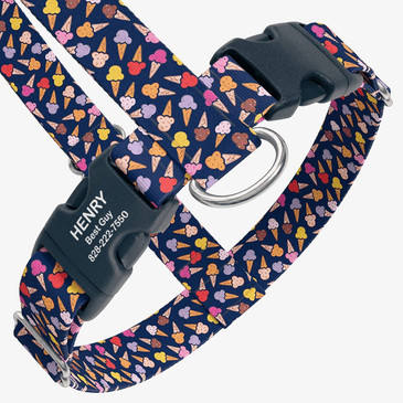 closeup view of harness with personalized buckle